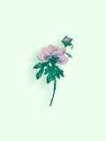 Lady at the Desk Flower Flake