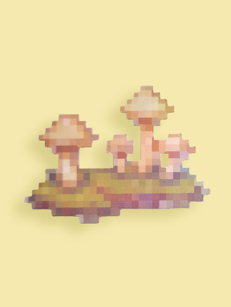 Past the Mangroves and Up the Hill  | Mushroom Cluster | Flake