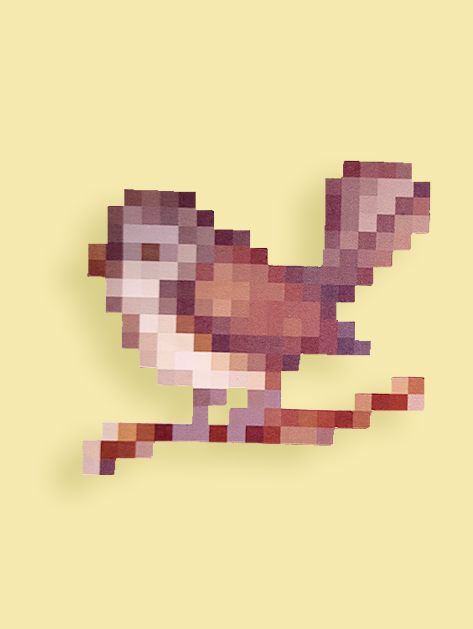 Past the Mangroves and Up the Hill | Fantail Bird Giga Flake | A002