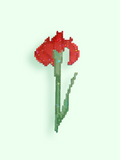 Lady At The Desk Giga Flake Red Flower A002