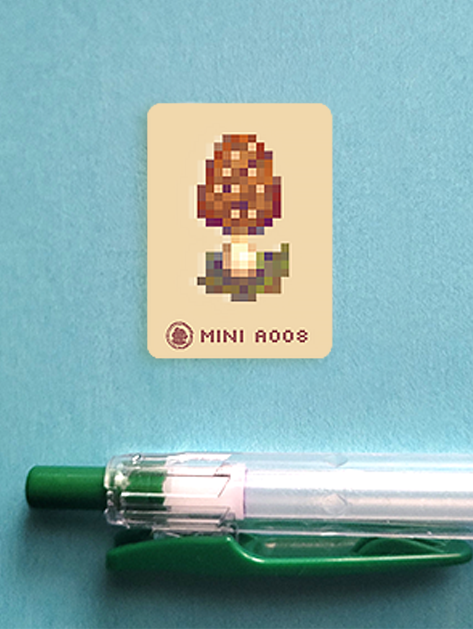 Past the Mangroves and Up the Hill |  Mini 008